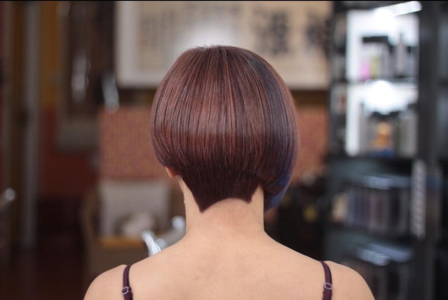Roots-Where Hair Begins 根源