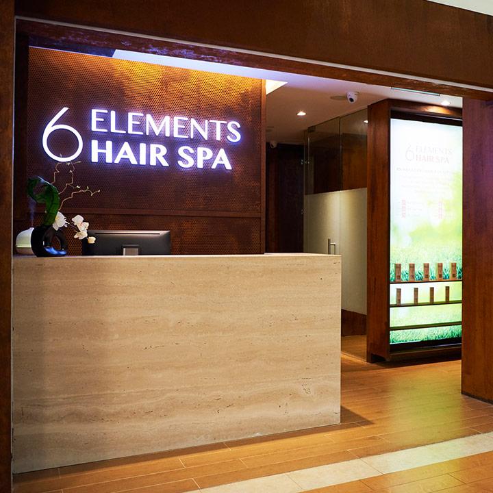 6 Elements Hair Spa (Waterway Point)