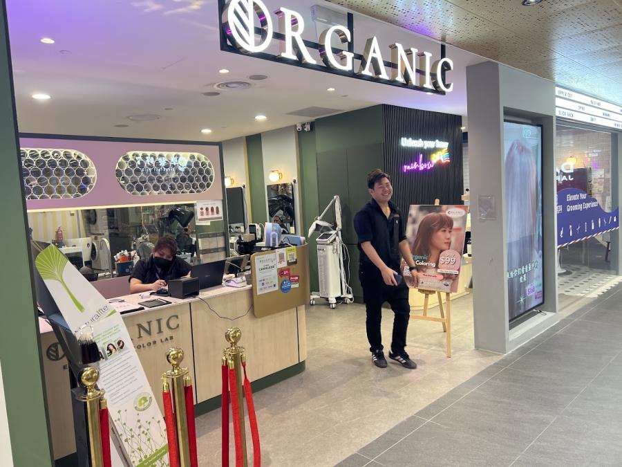 Organic Express Hair Color Lab