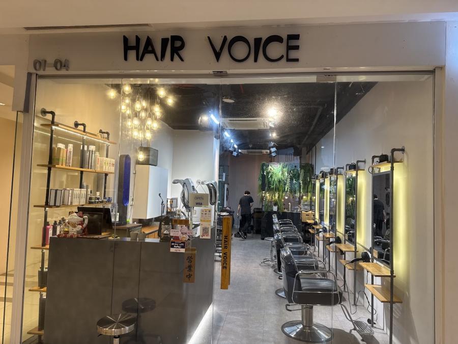 Hair Voice Factory