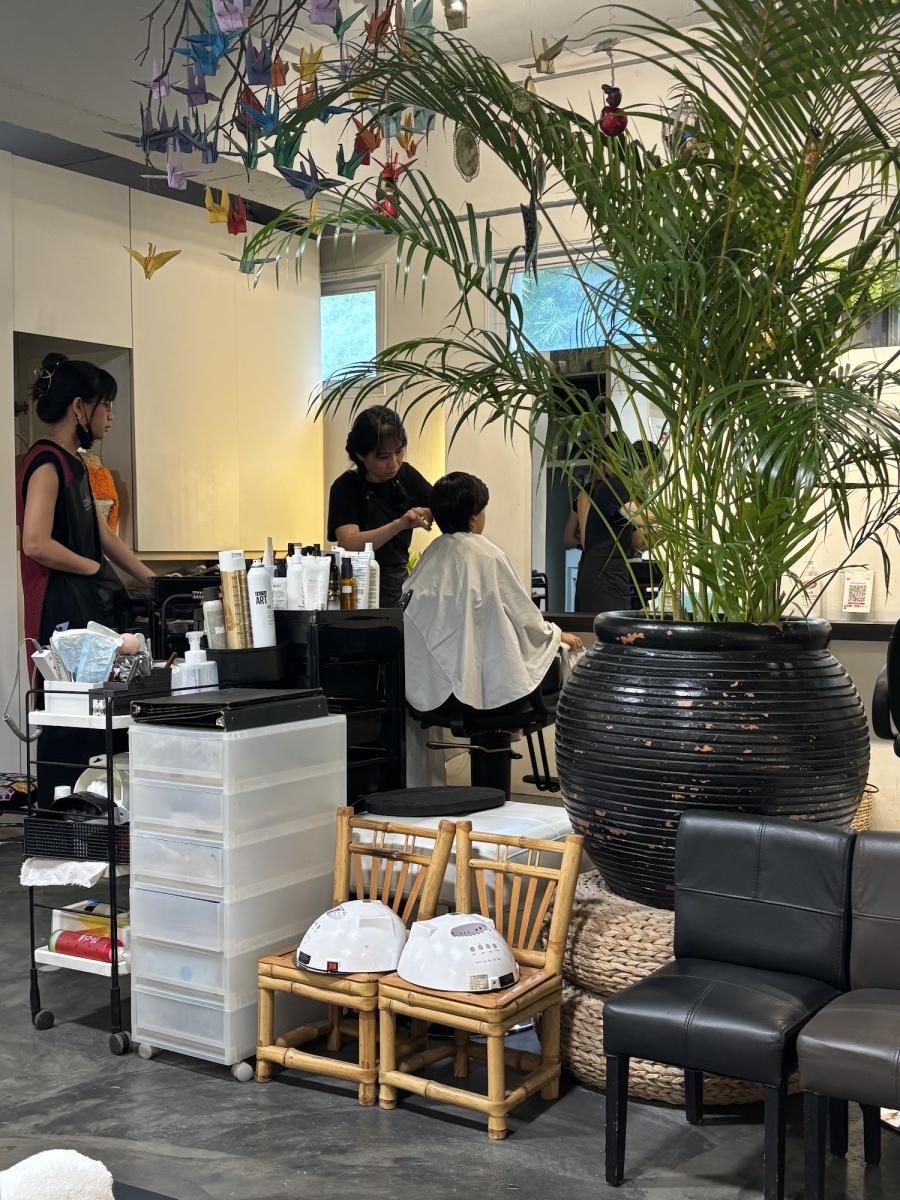 The Master Hair Salon