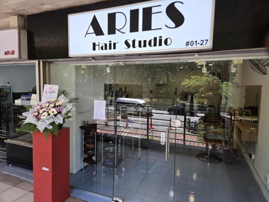 Aries Hair Studio