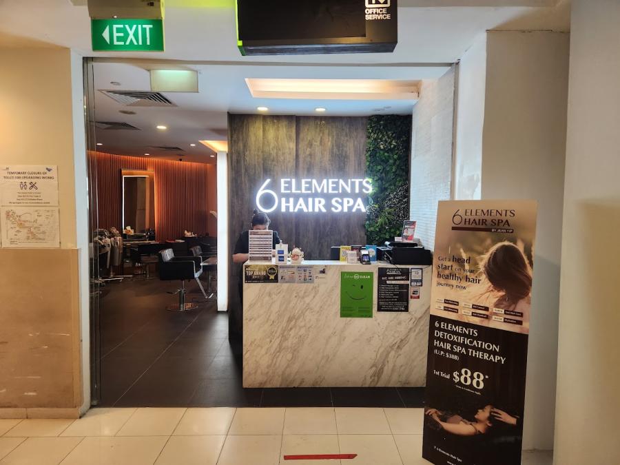6 Elements Hair Spa (Parkway Parade)
