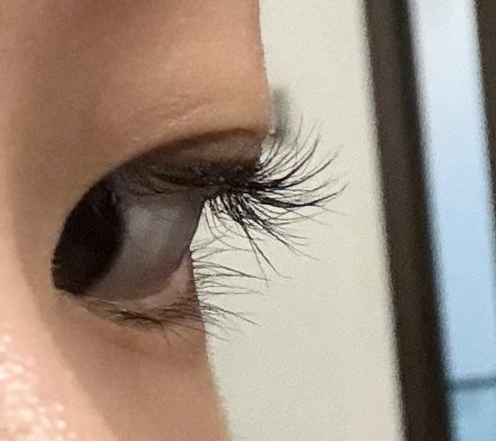 Purely Beaute (New Lash & Brow)