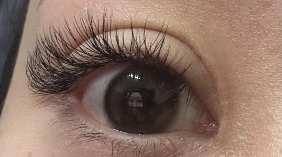 U + Eyebrow & Lash