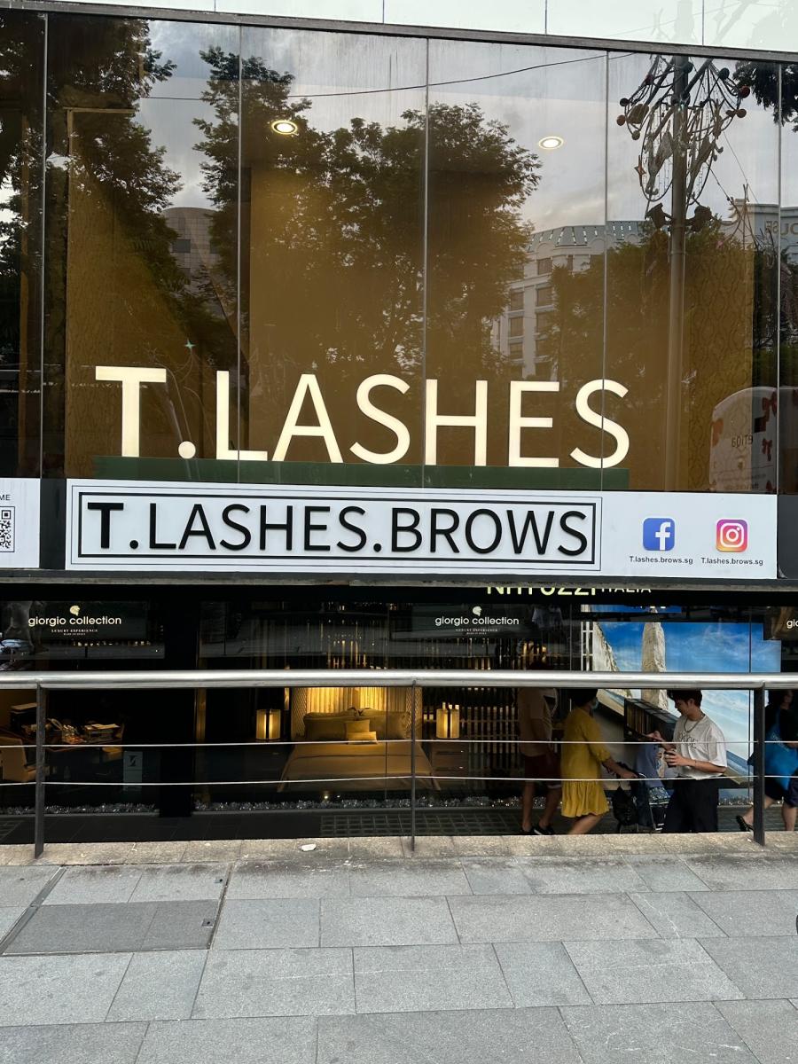 T.Lashes.Brows
