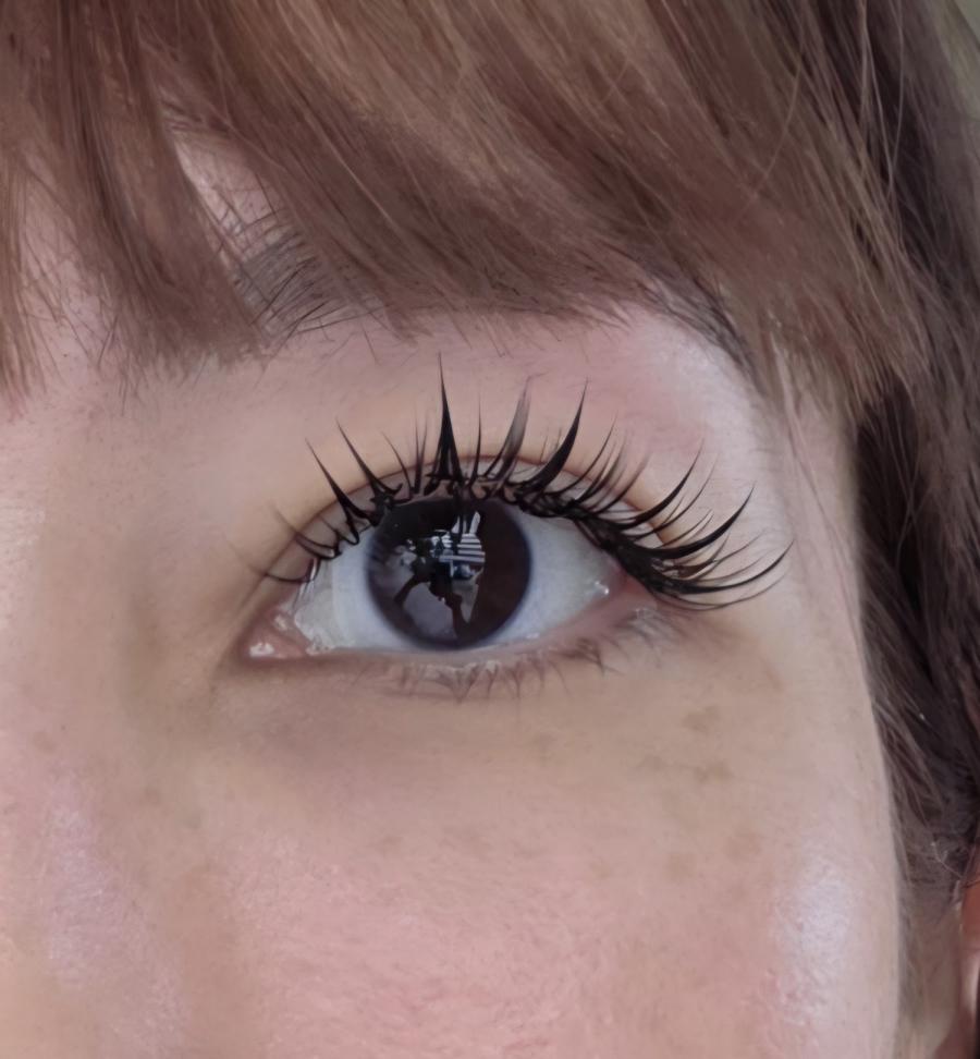 Xin Yu Beauty Eyelashes (Bedok)