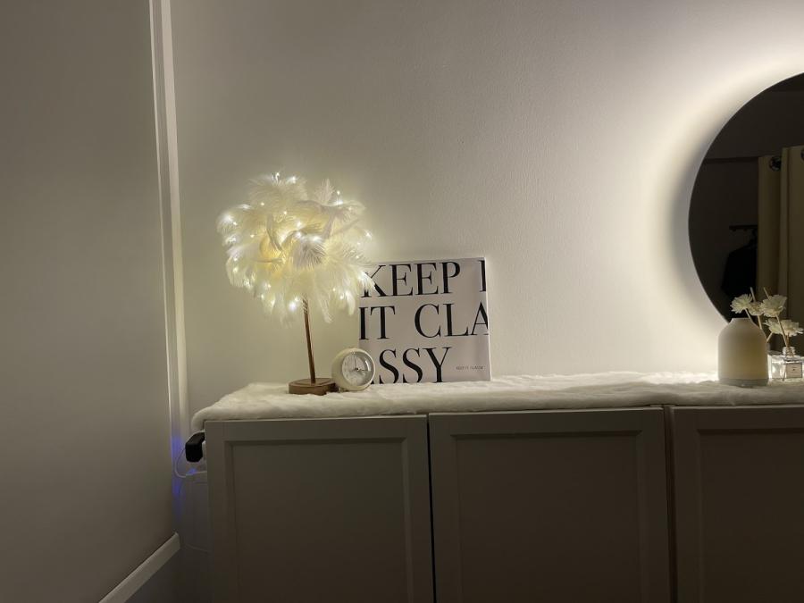 Plush Beauty Bar Sg