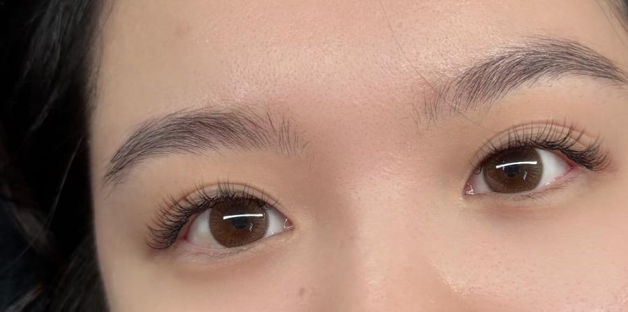 LUXELASHES.SG