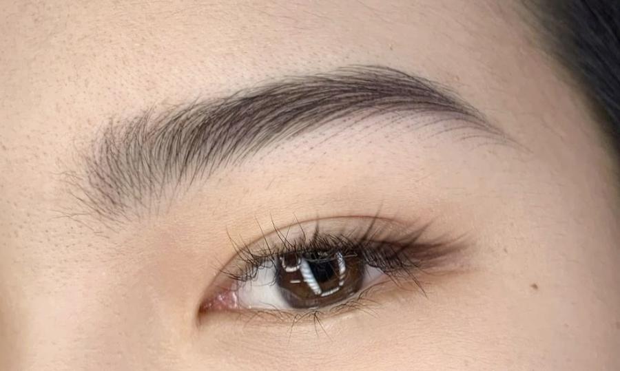 Chrysalis Brow Haus