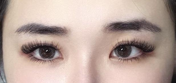 Bylash.sg