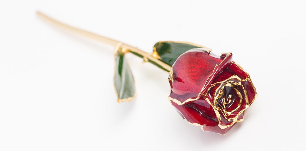 The Real Forever Rose Sara Verdier