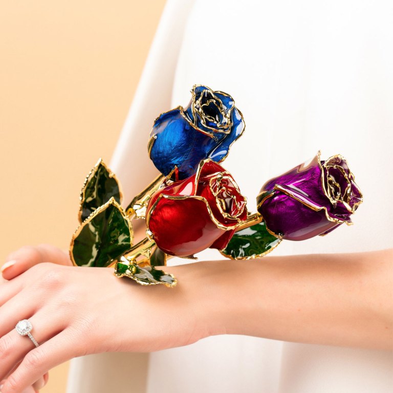 Holding gold dipped roses in red, blue and purple