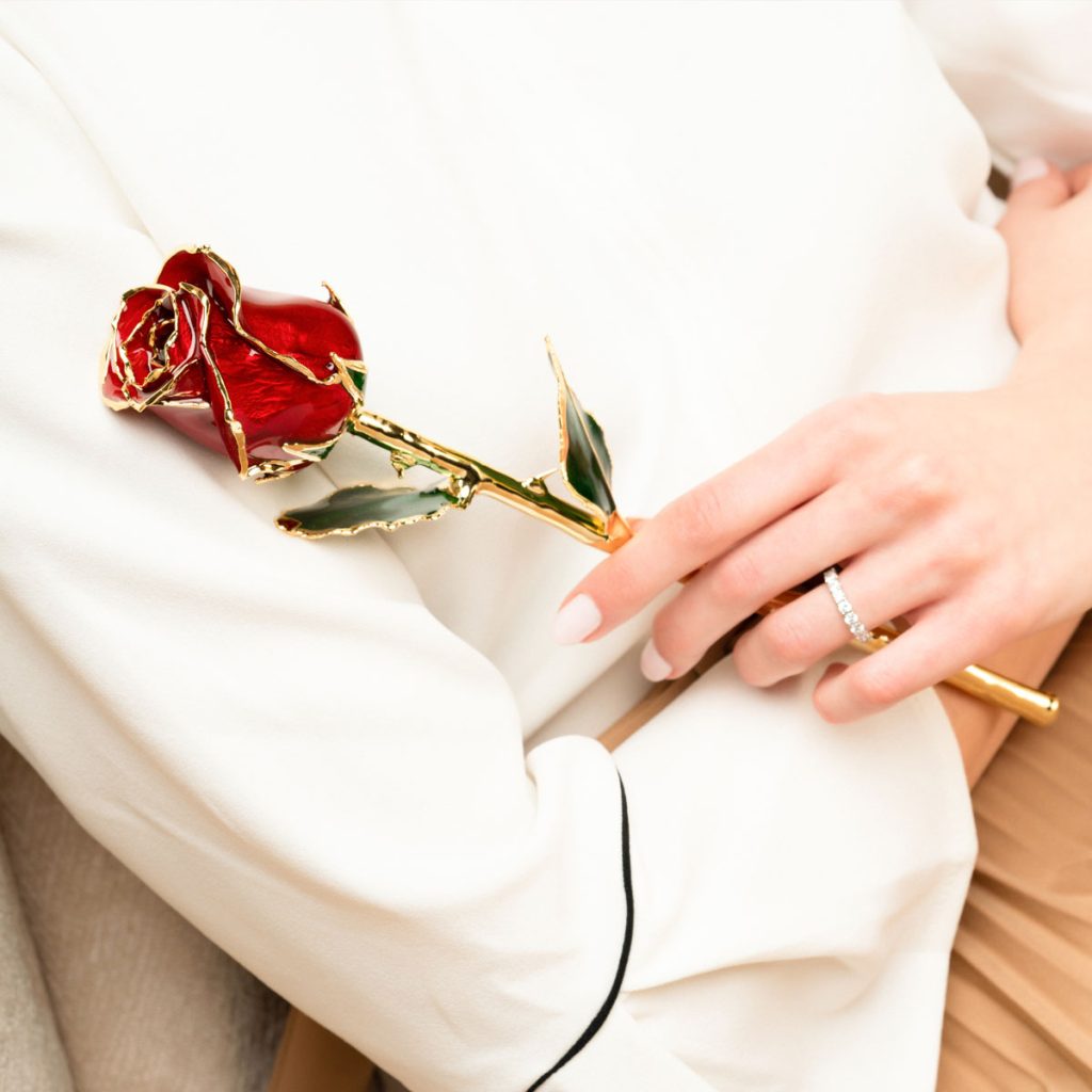 hand holding red gold dipped rose