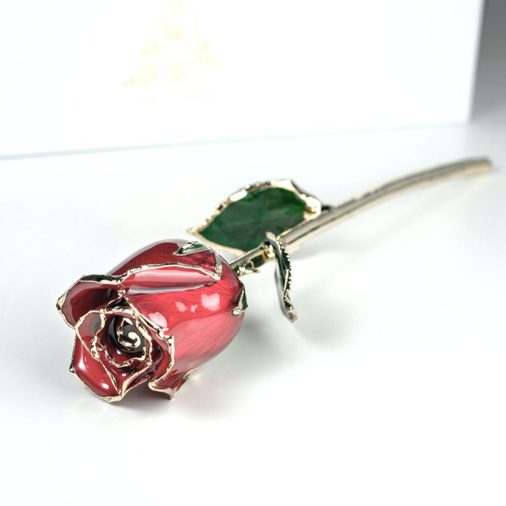 Single red gold dipped rose