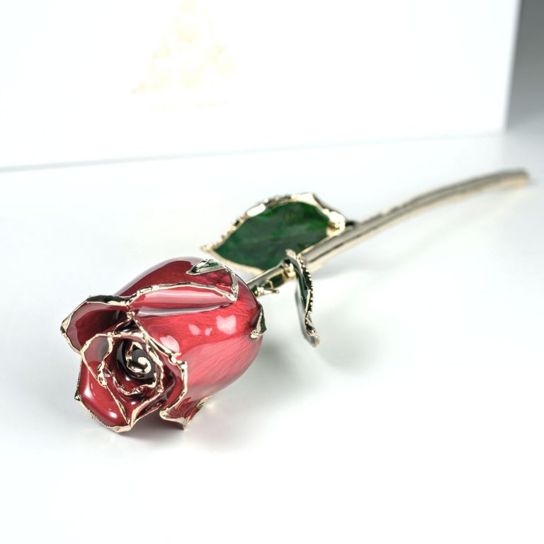 Single red gold dipped rose