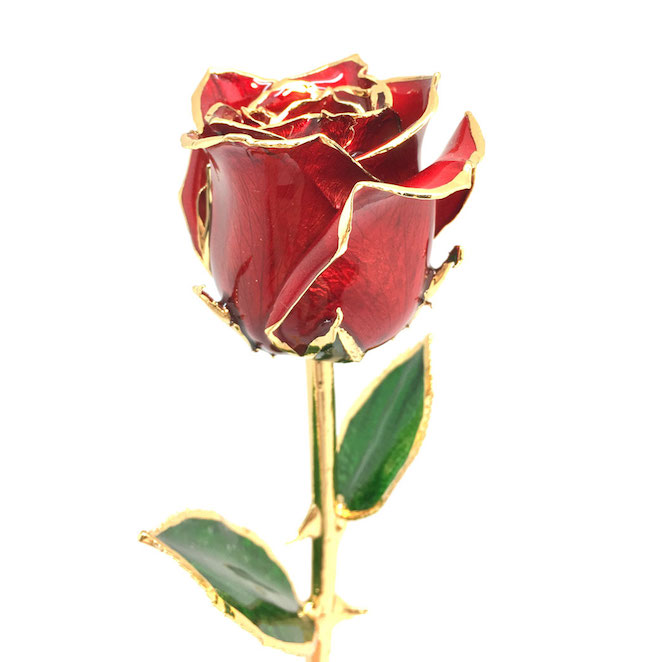Close-up of red 24K gold dipped rose
