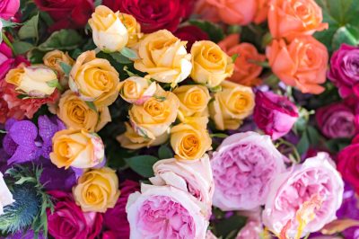 Mixed Color Roses