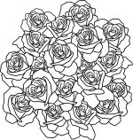 roses